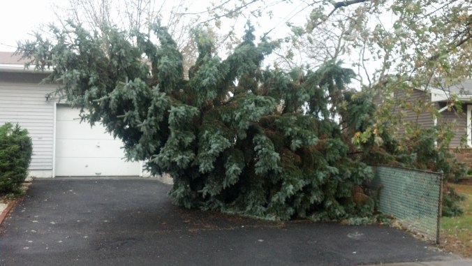 2012-10-30_09-09-16_463