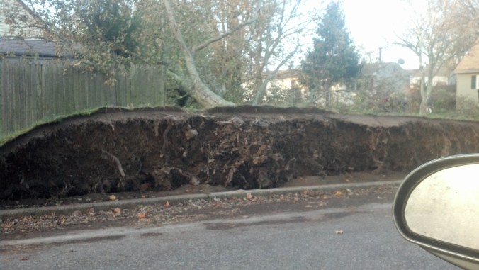 2012-11-03_08-03-36_157